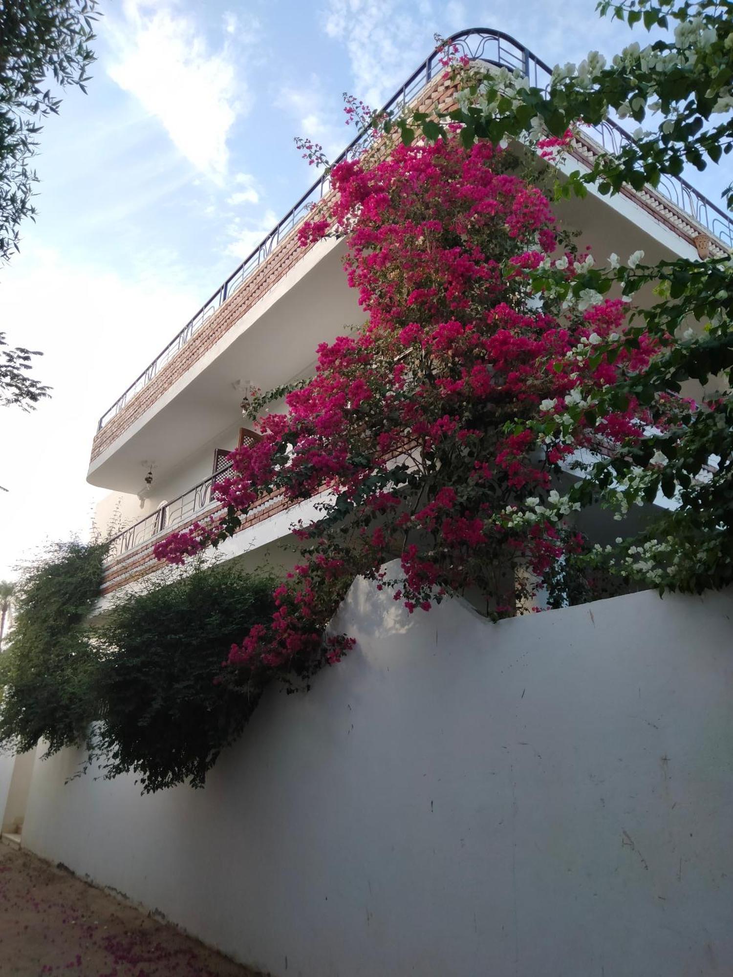Villa Quiet Place 樂蜀 外观 照片